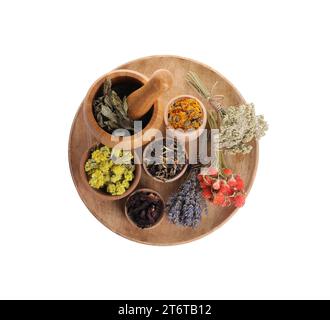 Mörtel mit Stößel, viele verschiedene trockene Kräuter und Blumen isoliert auf weiß, Blick von oben Stockfoto