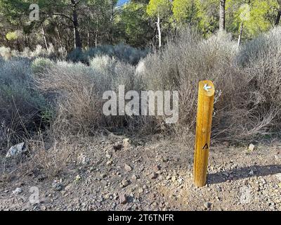 Wegweiser auf der Wanderroute im Naturpark Montes de Málaga Stockfoto