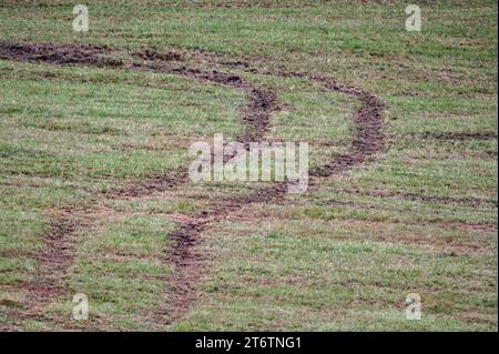 Spuren von Auto- oder Traktorreifen im Schlamm auf dem Feld. Nasses herbstliches Wetter. Stockfoto