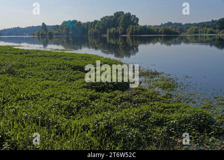 Eine Gabare am Ufer der Loire in der Nähe von Langeais - une gabare sur les Bords de loire du coté de Langeais Stockfoto