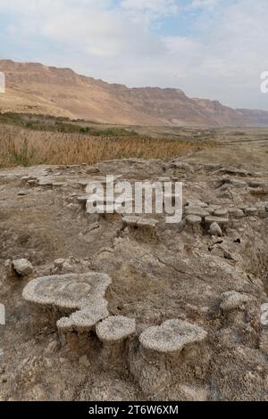 Staub und Schmutz färben einen bräunlichen Farbton über unqiue Salzhügel, die sich entlang der Küste des Toten Meeres in Israel bilden. Stockfoto