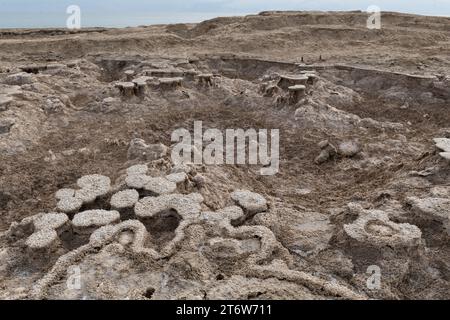 Staub und Schmutz färben einen bräunlichen Farbton über unqiue Salzhügel, die sich entlang der Küste des Toten Meeres in Israel bilden. Stockfoto