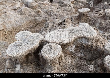 Staub und Schmutz färben einen bräunlichen Farbton über unqiue Salzhügel, die sich entlang der Küste des Toten Meeres in Israel bilden. Stockfoto