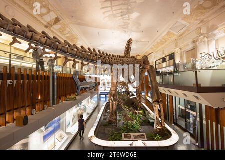 Dinosaurier-Ausstellung im National Taiwan Museum, Ximen, Taipei, Taiwan Stockfoto