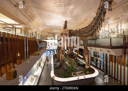 Dinosaurier-Ausstellung im National Taiwan Museum, Ximen, Taipei, Taiwan Stockfoto