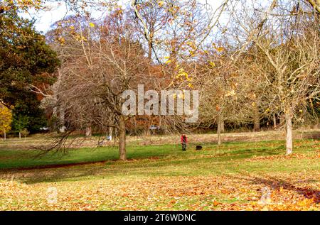 Dundee, Tayside, Schottland, Großbritannien. November 2023. Wetter in Großbritannien: Wunderschöne Herbstszenen im Dundee Camperdown Country Park in Schottland. Quelle: Dundee Photographics/Alamy Live News Stockfoto