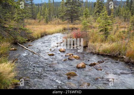 Abfahrt von Lac Beavent, Jasper National Park, Jasper, Kanada Stockfoto