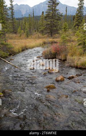 Abfahrt von Lac Beavent, Jasper National Park, Jasper, Kanada Stockfoto