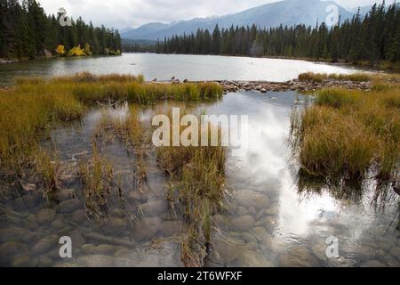 Lac Beavent, Jasper National Park, Jasper, Kanada Stockfoto