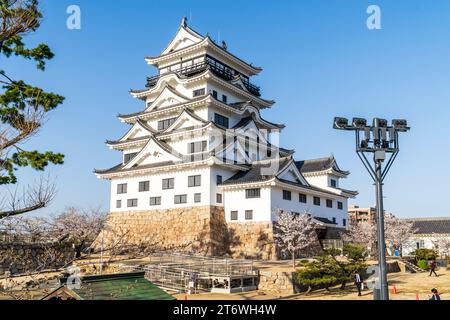 Schloss Fukuyama in Japan. Umgeben von Kirschblüten im Frühling, und dahinter ist der restaurierte schwarz-weiße Donjon Tenshu ein klarer blauer Himmel Stockfoto