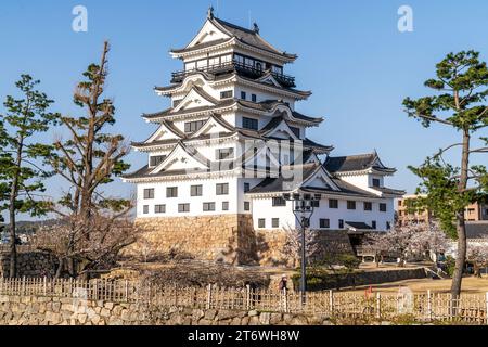 Schloss Fukuyama in Japan. Umgeben von Kirschblüten im Frühling, und dahinter ist der restaurierte schwarz-weiße Donjon Tenshu ein klarer blauer Himmel Stockfoto