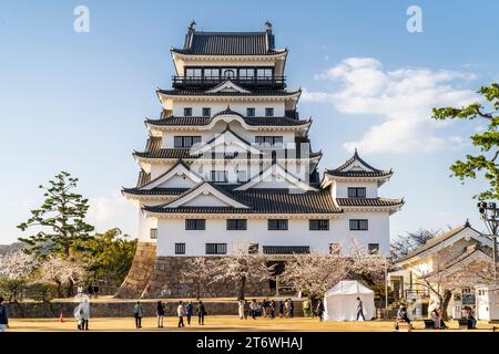 Schloss Fukuyama in Japan. Umgeben von Kirschblüten im Frühling, und dahinter ist der restaurierte schwarz-weiße Donjon Tenshu ein klarer blauer Himmel Stockfoto