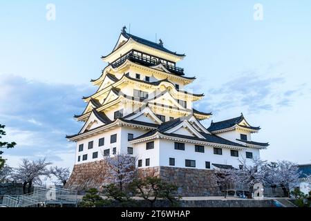 Schloss Fukuyama in Japan. Der beleuchtete Bergfried im Borogata-Stil zur blauen Stunde, umgeben von Kirschblüten an seinem Steinfuß im Frühling. Stockfoto