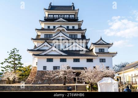 Schloss Fukuyama in Japan. Umgeben von Kirschblüten im Frühling, und dahinter ist der restaurierte schwarz-weiße Donjon Tenshu ein klarer blauer Himmel Stockfoto