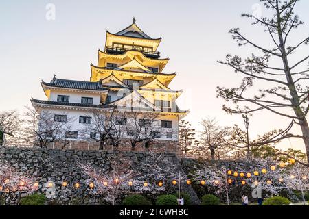 Schloss Fukuyama, Japan. Der beleuchtete weiße Donjon, umgeben von Kirschblüten mit Reihen beleuchteter Laternen, die im Frühling zwischen den Bäumen hängen. Stockfoto