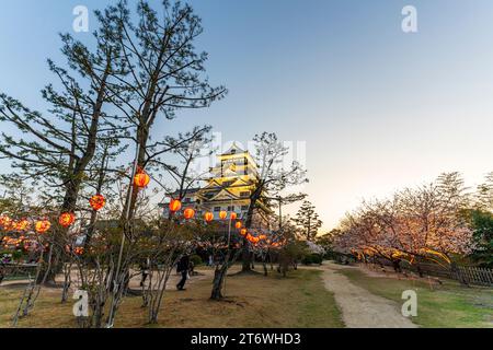 Schloss Fukuyama, Japan. Der beleuchtete weiße Donjon, umgeben von Kirschblüten mit Reihen beleuchteter Laternen, die im Frühling zwischen den Bäumen hängen. Stockfoto