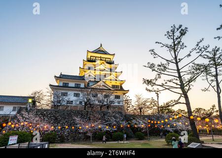 Schloss Fukuyama, Japan. Der beleuchtete weiße Donjon, umgeben von Kirschblüten mit Reihen beleuchteter Laternen, die im Frühling zwischen den Bäumen hängen. Stockfoto