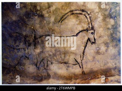 Dessin d'un bouquetin dans la grotte de Rouffignac. Zeichnung eines Steinbockes in der Höhle von Rouffignac Stockfoto