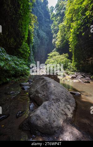 Der Sekumpul Wasserfall, ein großer Wasserfall mitten im Dschungel, der in eine tiefgrüne Schlucht fällt. Bäume und tropische Pflanzen auf Balis Höhe Stockfoto