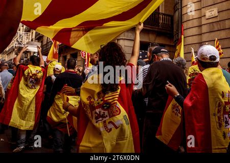 Barcelona, Spanien. November 2023. Aktivisten marschieren durch Barcelona, um gegen eine Amnestie zu protestieren, die Politikern angeboten wurde, die im Oktober 2017 an einem illegalen Referendum über die katalanische Unabhängigkeit teilgenommen hatten, im Austausch für Stimmen im spanischen parlament nächste Woche, um Pedro Sanchez unter dem Motto „nicht im Namen Spaniens“ wiederzuwählen. Nein zur Amnestie. Matthias Oesterle/Alamy Live News Stockfoto