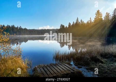 Schweiz, Jura, Kanton Jura, JU, Moorsee, Etang de la Gruère, Herbstmorgen, Morgen, Morgenstimmung Stockfoto