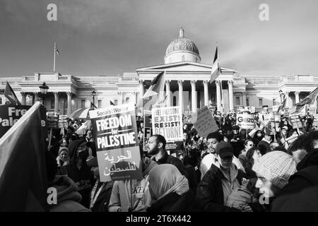 Palastinische Proteste am Trafalgar Square, London, England, Großbritannien. Stockfoto