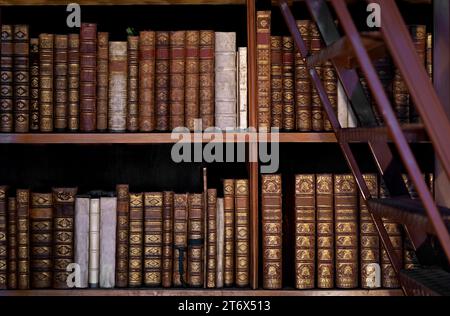 Innenraum der Österreichischen Nationalbibliothek im Flügel der Neuen Burg der Hofburg. State Hall oder Prunksaal. Osterreichische Nationalbi Stockfoto