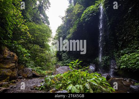 Der Sekumpul Wasserfall, ein großer Wasserfall mitten im Dschungel, der in eine tiefgrüne Schlucht fällt. Bäume und tropische Pflanzen auf Balis Höhe Stockfoto