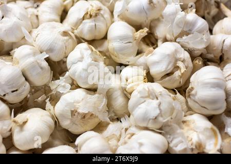 Detail eines Stapels weißer Knoblauchzwiebeln Knoblauch auf dem Markt. Stockfoto