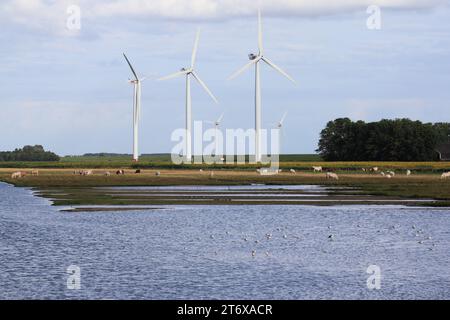 Mehrere Windmühlen, Wasseroberfläche mit Vögeln und eine Rinderherde im Vordergrund Stockfoto