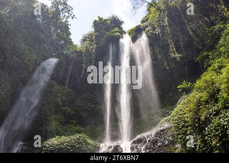 Der Sekumpul Wasserfall, ein großer Wasserfall mitten im Dschungel, der in eine tiefgrüne Schlucht fällt. Bäume und tropische Pflanzen auf Balis Höhe Stockfoto