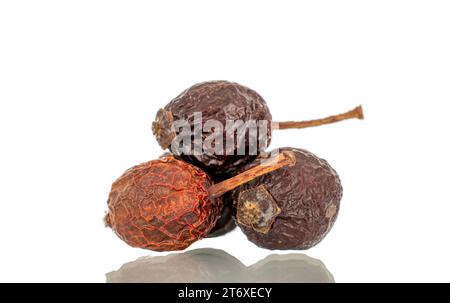 Einige trockene Hagebuttenbeeren, Makro, isoliert auf weißem Hintergrund. Stockfoto