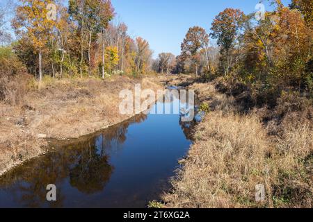 Das Wasser in einem Bach bewegt sich langsam in einer Herbstszene mit Reflexen von Bäumen. Stockfoto