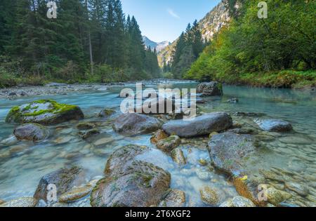Cyan Mountain Bachlauf, von Gletschern gespeister Bach, der durch ein wunderbares Bergtal fließt, umgeben von hohen Kiefernwäldern. Stockfoto