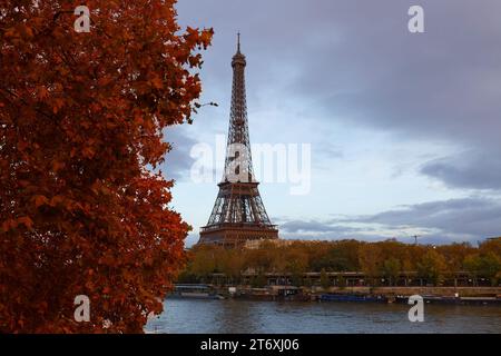 Herbst in Paris, Frankreich mit Blick auf den Eiffelturm Stockfoto
