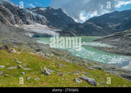 Rückläufiger Alpengletscher, Kesselgletscher mit Wasserfall, der sich in einem Gletschersee auflöst, umgeben von einer grünen Wiese mit Sommerwildblumen Stockfoto