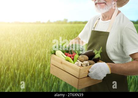 Erntesaison. Landwirt hält Holzkiste mit Erntegut auf dem Feld, Nahaufnahme Stockfoto