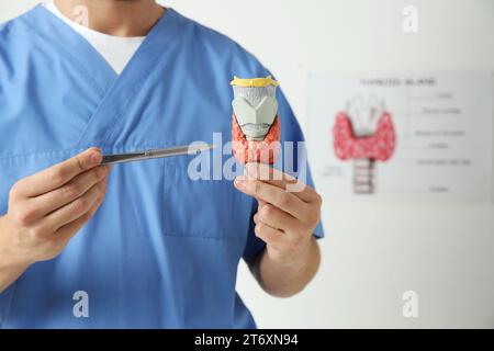 Endokrinologe mit Schilddrüsenmodell im Krankenhaus, Nahaufnahme Stockfoto