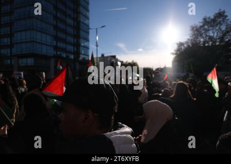 Eine Auswahl von Fotos, die am 11. November 2023 vom pro-palästinensischen Marsch und Waffenstillstandswochenende aufgenommen wurden. Stockfoto