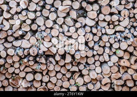 Rostfreie Baumstämme im Hinterhof des ländlichen Hauses. Stockfoto