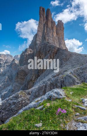 Vajolet Towers in der Berggruppe des Rosengartens der italienischen Dolomiten. Imposante Felskalktürme und blumige Grasfläche Stockfoto