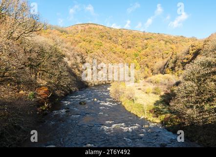 Herbstlicher Blick auf den Fluss Greta vom Keswick nach Thelkeld Railway Walk, Cumbria, England, Großbritannien Stockfoto