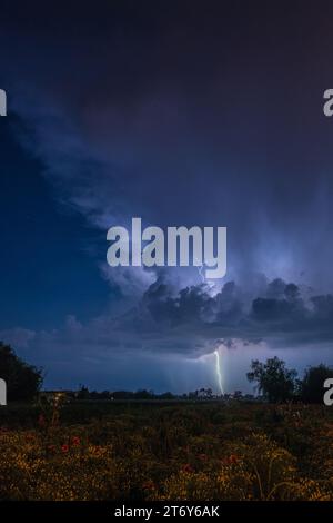 Ein Blitz trifft in der Ferne auf einem Landfeld auf den Boden. Nächtliches Gewitter mit einem riesigen Gewitter, der weit weg auf den Boden trifft. Stockfoto