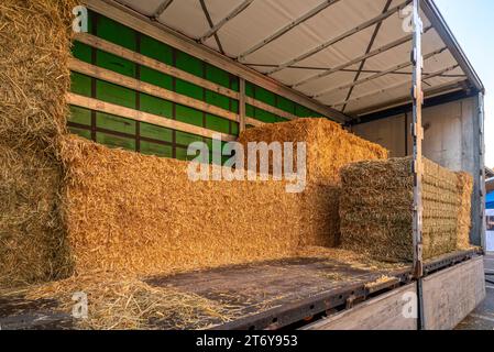 Große Strohballen und Heu beladen auf Lkw-Anhänger Stockfoto