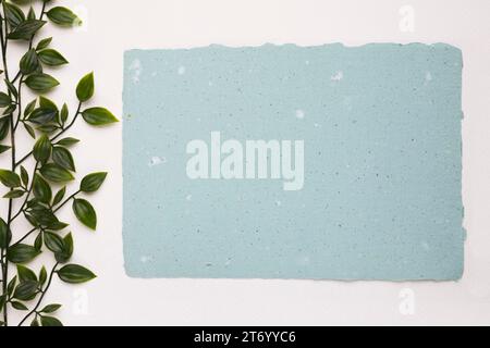 Künstliche grüne Pflanze nahe leerem blauem Texturpapier weißem Hintergrund Stockfoto