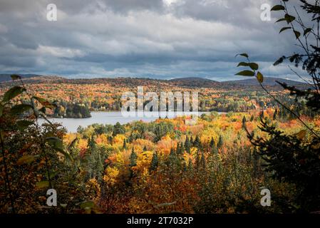 Sonnenlicht über kanadischem Wald im nördlichen Sümpfe von Quebec Stockfoto