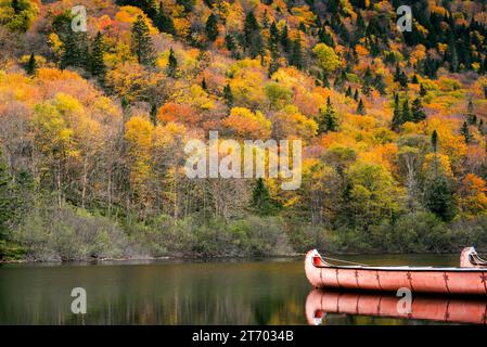 Herbstlaub und Kanu auf dem Fluss Jacques Cartier Stockfoto