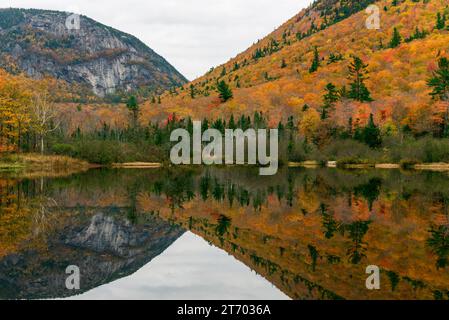 Felsiger Berg und Herbstlaub in den White Mountains Stockfoto