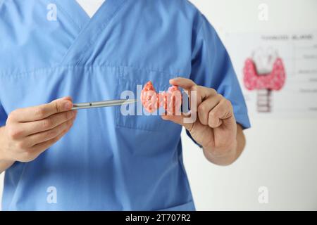 Endokrinologe mit Schilddrüsenmodell im Krankenhaus, Nahaufnahme Stockfoto