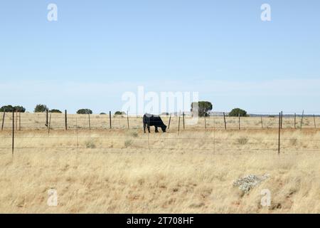 Auf der AZ -277, Arizona Stockfoto